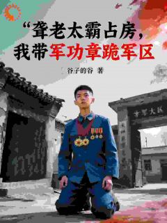 聋老太霸占房，我带军功章跪军区