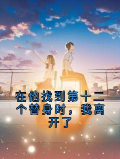 在他找到第十二个替身时，我离开了