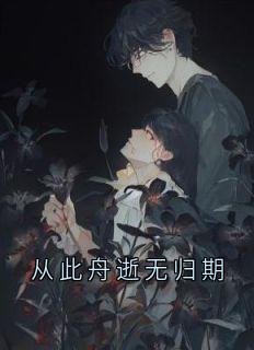 从此舟逝无归期