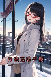 司瓷语裴子期