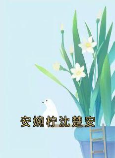 安婉柠沈楚安