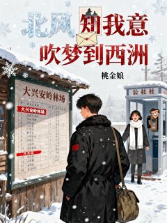 北风知我意，吹梦到西洲