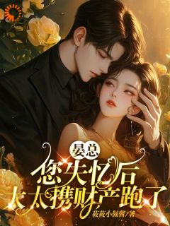 晏总，您失忆后，太太携财产跑了