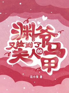 渊爷，又捡到了夫人的马甲