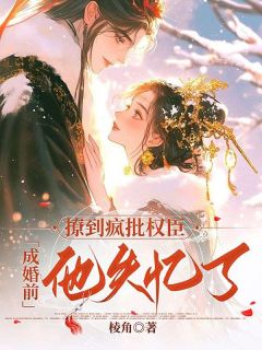 撩到疯批权臣，成婚前他失忆了