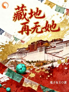 藏地再无她