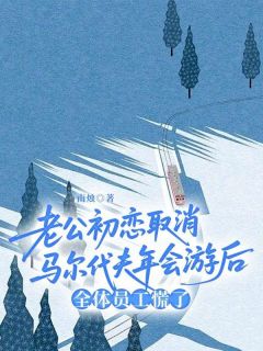 老公初恋取消马尔代夫年会游后，全体员工慌了