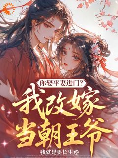 你娶平妻进门？我改嫁当朝王爷
