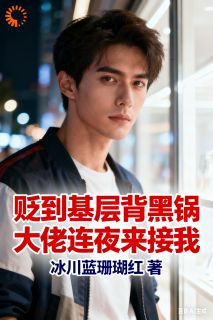 贬到基层背黑锅，大佬连夜来接我