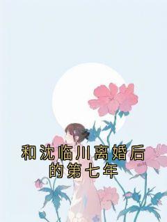 和沈临川离婚后的第七年