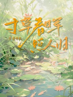 寸草春晖，照人归