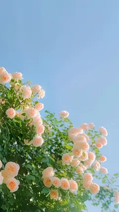 儿媳骗走我全部积蓄补贴娘家后，我杀疯了