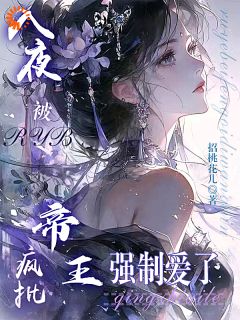 入夜，被疯批帝王强制爱了