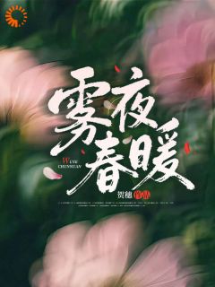 雾夜春暖