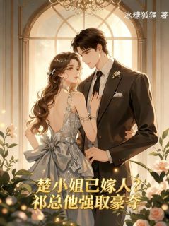 楚小姐已嫁人？祁总他强取豪夺