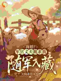 离婚？军官丈夫跪求我随军入藏