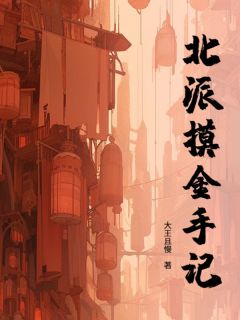 北派摸金手记