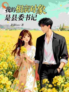 我的相亲对象是县委书记