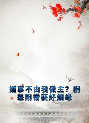 婚事不由我做主？阴差阳错获好姻缘