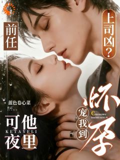 前任上司凶？可他夜里宠我到怀孕