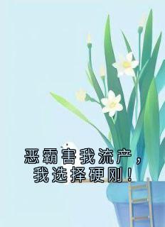 恶霸害我流产，我选择硬刚！