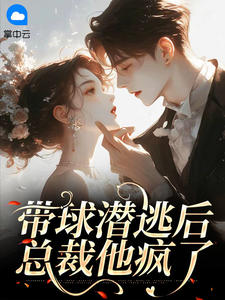 带球潜逃后：总裁他疯了