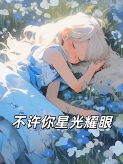 不许你星光耀眼