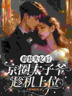 假装失忆后，京圈太子爷趁机上位