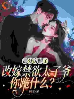 都分房睡了，改嫁禁欲太子爷你跪什么？