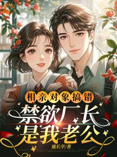 相亲对象搞错，禁欲厂长是我老公