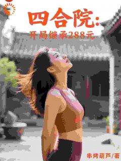 四合院：开局继承288元
