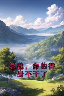 总裁，你的替身不干了