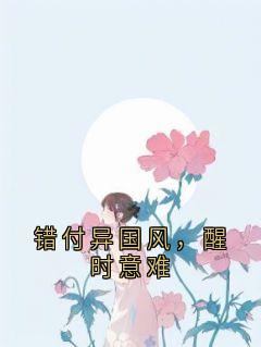 错付异国风，醒时意难