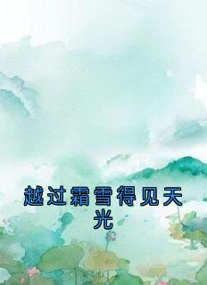 越过霜雪得见天光
