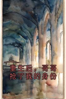 重生后，哥哥抢了我的身份