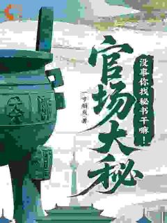 官场大秘：没事你找秘书干嘛！