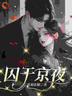 囚于京夜