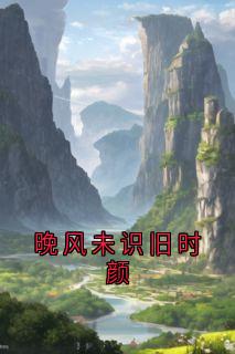 晚风未识旧时颜