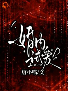 婚内试爱