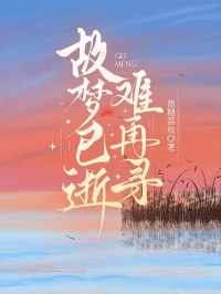 故梦已逝难再寻