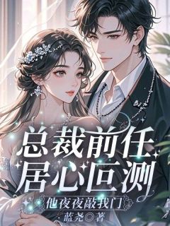总裁前任居心叵测，他夜夜敲我门
