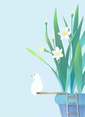 绿茶品鉴师的自我修养