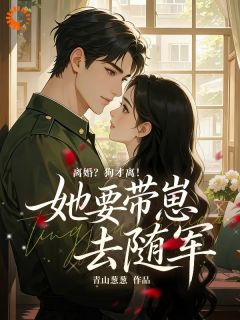 七零年代先婚后爱，大佬他超爱！