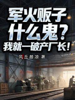 军火贩子什么鬼？我就一破产厂长！