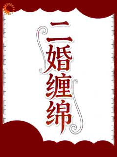 二婚缠绵