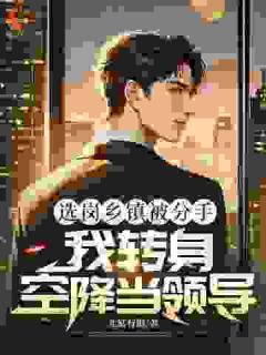 选岗乡镇被分手，我转身空降当领导