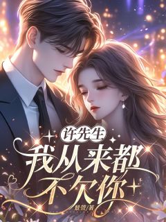 许先生，我从来都不欠你