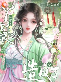 抄家流放，丫鬟她带着主家造反了