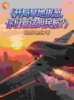 开局旱地拔葱，你们管这叫民航？