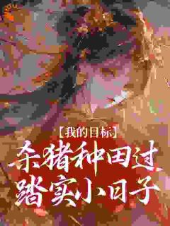 我的目标：杀猪种田过踏实小日子